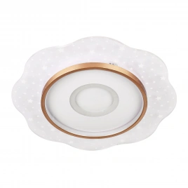 Потолочный cветильник LED4U L1028-500 WH-GD
