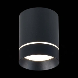ST115.442.12 Светильник потолочный Черный LED 1*12W 4000K 840Lm Ra>90 120° IP20 D79xH100 170-240V