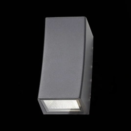 SL088.421.02 Светильник уличный настенный ST-Luce Черный кварцевый LED 2*5W 4000K