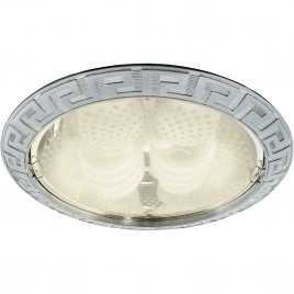 Точечный встраиваемый светильник Arte Lamp DOWNLIGHTS A8015PL-2SS