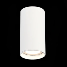 ST157.532.15 Светильник потолочный Белый LED 1*15W 3000K 1 200Lm Ra>90 60° IP44 D75xH140 220-265V