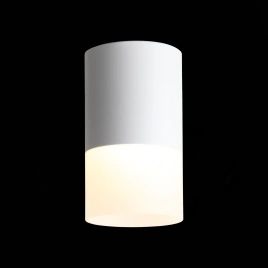 ST100.502.10 Светильник потолочный Белый LED 1*10W 3000K 780Lm Ra>80 120° D78xH135 170-240V