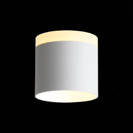 ST102.502.09 Светильник потолочный Белый LED 1*9W 3000K 702Lm Ra>80 120° IP20 D79xH75 170-240V