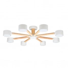 Потолочная люстра Arte Lamp TENDA A1624PL-8WH