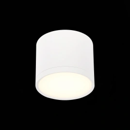 ST113.532.09 Светильник потолочный Белый LED 1*9W 3000K 702Lm Ra>90 120° IP20 D88xH75 170-240V