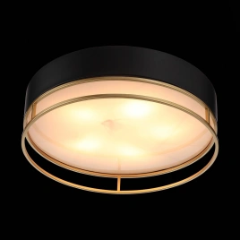 SL1127.432.05 Светильник потолочный ST-Luce Черный, Матовое золото/Белый E27 5*40W