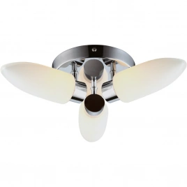 Потолочная люстра Arte Lamp AQUA A9502PL-3CC