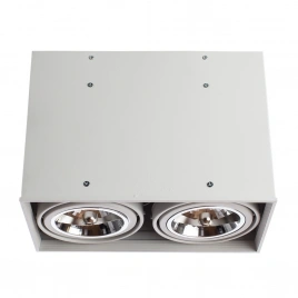 Точечный накладной светильник Arte Lamp CARDANI GRANDE A5936PL-2WH