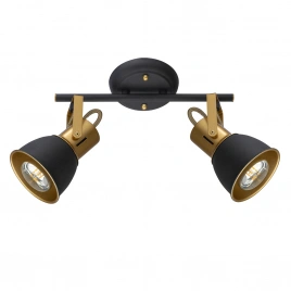 Спот Arte Lamp JOVI A1677PL-2GO