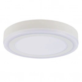 Потолочный светильник Arte Lamp ANTARES A7824PL-2WH