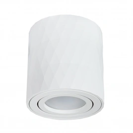 Точечный накладной светильник Arte Lamp FANG A5559PL-1WH