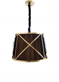Подвесной светильник Arte Lamp VITRUVIO A2805SP-1BK