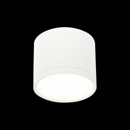 ST113.542.09 Светильник потолочный Белый LED 1*9W 4000K 702Lm Ra>90 120° IP20 D88xH75 170-240V