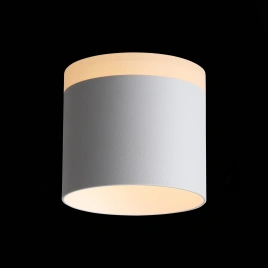 ST102.502.12 Светильник потолочный Белый LED 1*12W 3000K 936Lm Ra>80 120° IP20 D100xH90 170-240V