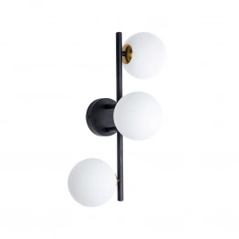 Настенно-потолочный светильник Arte Lamp GEMINI A2243PL-3BK