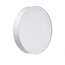 7779/DLN BASICA SN 138 Светильник пластик/белый LED 48Вт 3000/4000/6000К D390 IP43 CCT OPTIMA
