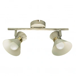 Спот Arte Lamp BALTIMORE A1406AP-2WG