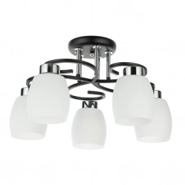 Потолочная люстра Arte Lamp KRIT A4505PL-5BK