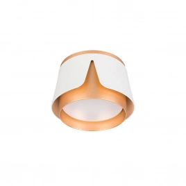 Потолочный светильник Arte Lamp AMAKS A8028PL-1WH