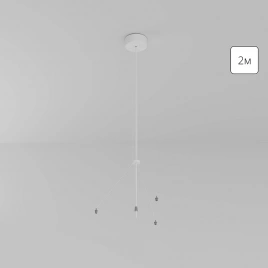 Потолочная база с подвесом Arte Lamp FADO A660033