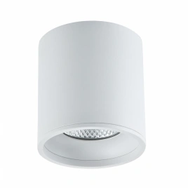 ST165.542.12 Светильник потолочный Белый LED 1*12W 4000K 840Lm Ra>90 36° IP44 D80xH85 85-265V