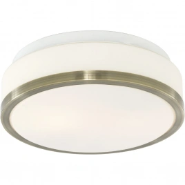 Потолочный светильник Arte Lamp AQUA A4440PL-2AB