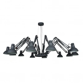 Подвесная люстра Arte Lamp RAGNO A2043SP-12BK