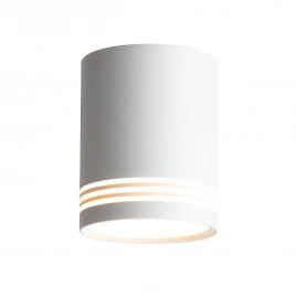 ST101.502.12 Светильник потолочный Белый LED 1*12W 3000K 936Lm Ra>80 120° IP20 D79xH100 170-240V
