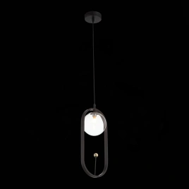SL1201.403.01 Подвес ST-Luce Черный/Прозрачный G9 1*5W