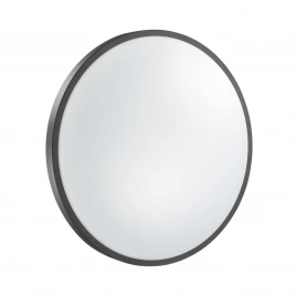 3012/DL TAN SN 206 Светильник пластик/черный LED 48Вт 3000-6500K D380 IP43 пульт ДУ/ LampSmart SMALL