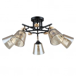 Потолочная люстра Arte Lamp GLASSY A5078PL-5BK