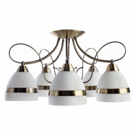 Потолочная люстра Arte Lamp NOEMI A6192PL-5AB
