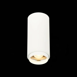 ST600.532.10 Светильник потолочный Zoom Белый LED 1*10W 3000K 1 000Lm Ra>80 15-60° IP20 D59xH130 170