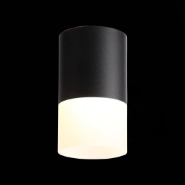 ST100.402.10 Светильник потолочный Черный LED 1*10W 3000K 780Lm Ra>80 120° D78xH135 170-240VV