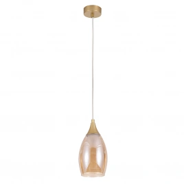 Подвесной светильник Arte Lamp BARRY A7951SP-1GO