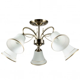Потолочная люстра Arte Lamp BLOSSOM A2709PL-5AB