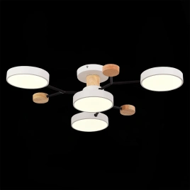 SLE6006-502-04 Светильник потолочный Белый/Белый LED 4*12W 3000K/4500K/6000K