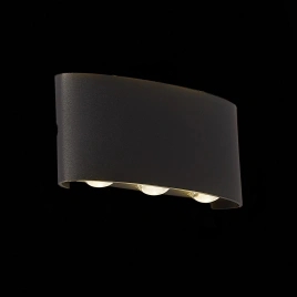 SL089.401.06 Светильник уличный настенный ST-Luce Черный кварцевый LED 6*1W 4000K