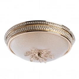 Потолочный светильник Arte Lamp VASSOIO A9205PL-3GO