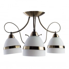 Потолочная люстра Arte Lamp NOEMI A6192PL-3AB
