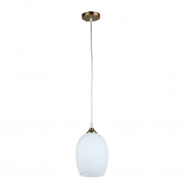Подвесной светильник Arte Lamp PROPUS A4344SP-1PB