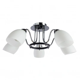 Потолочная люстра Arte Lamp FIORENTINO A7144PL-5BK