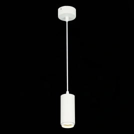 ST600.543.10 Светильник подвесной Zoom Белый LED 1*10W 4000K 1 000Lm Ra>80 15-60° IP20 D59xH130 170-