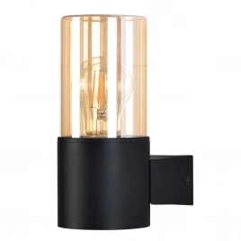 Уличный настенный светильник Arte lamp SEGINUS A6515AL-1BK