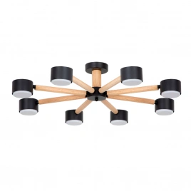 Потолочная люстра Arte Lamp TENDA A1624PL-8BK