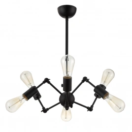 Люстра на штанге Arte Lamp ROOTS A9190LM-6BK