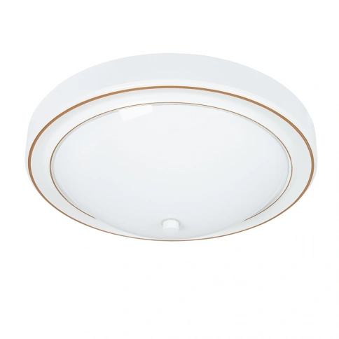 Потолочный светильник Arte Lamp JAMES A4049PL-3WH фото 1