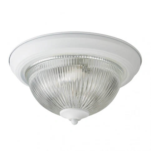 Потолочный светильник Arte Lamp AQUA A9370PL-2WH фото 1