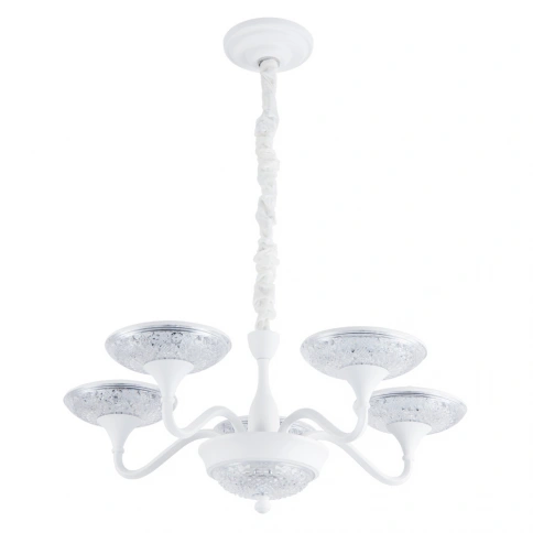 Подвесная люстра Arte Lamp BERN A5168LM-5WH фото 1