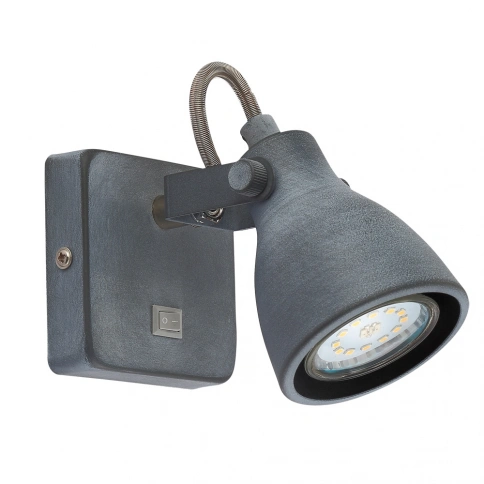 Спот Arte Lamp GOTTO A9189AP-1GY фото 1